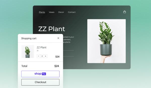 What is Shopify? A Complete Guide for Beginners